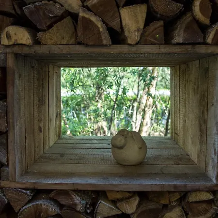 Hotell Fischerhaus Plau Am